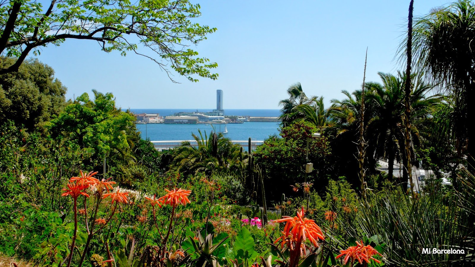 Vista panoràmica del parc